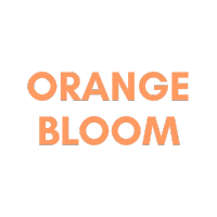 Orange Bloom Skincare